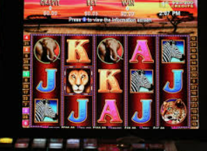 掌中彩welcome免费版